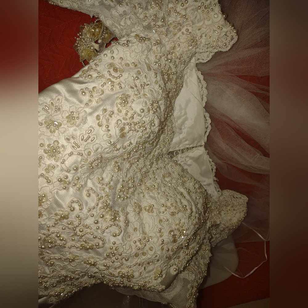 Wedding Dress - Picture 16 of 16
